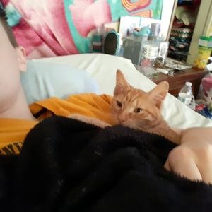 Meet your Posher, Kaden